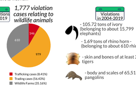 Infographics: Wildlife conservation and legal steps in Viet Nam